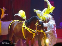 Circus Alex Kaisert am 1. Mai 2026